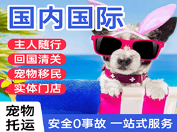 珠海莲洲航空托运国际宠物托运 【国